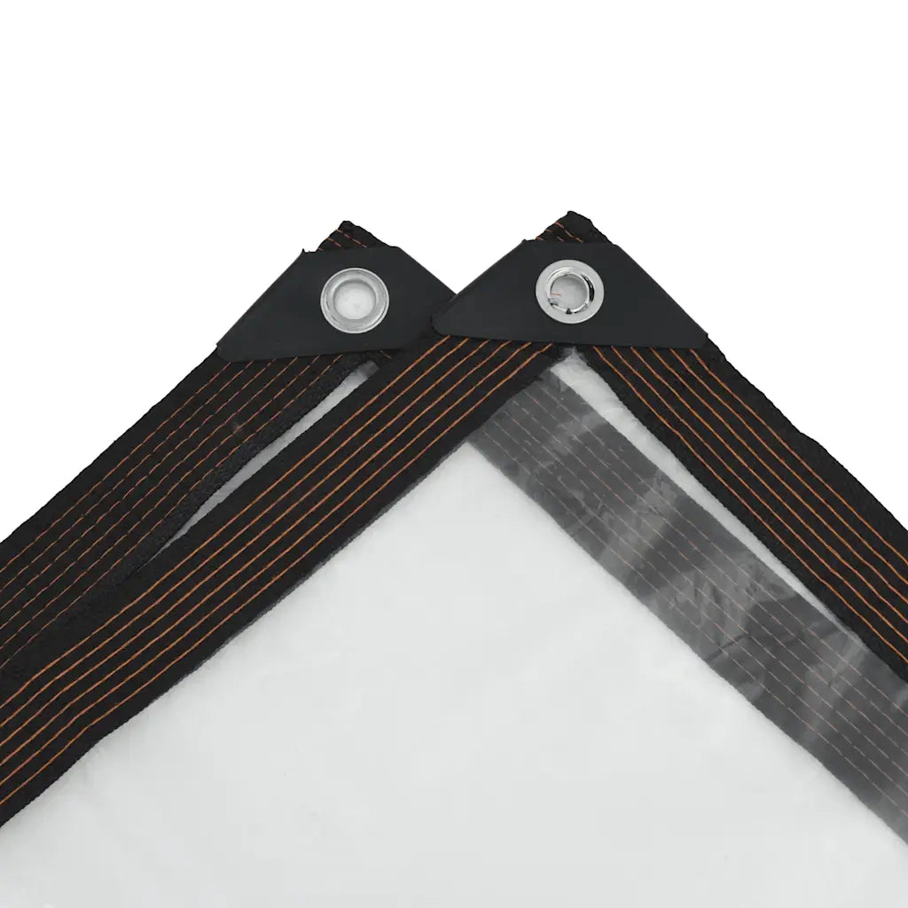Telone Trasparente con Occhielli 1x10 m in Polietilene 4018545