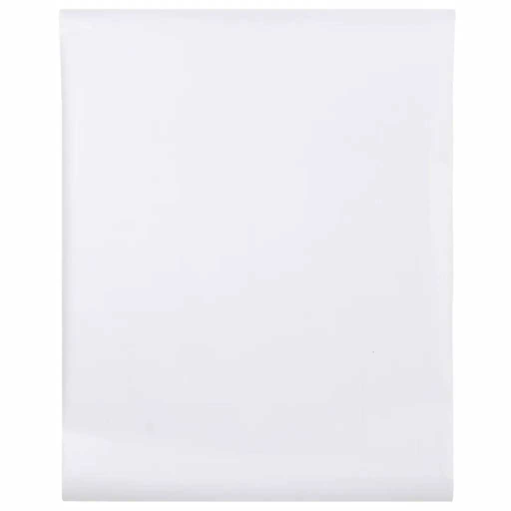 Pellicola per Finestra Design Smerigliato Strisce 60x1000cm PVC 155753