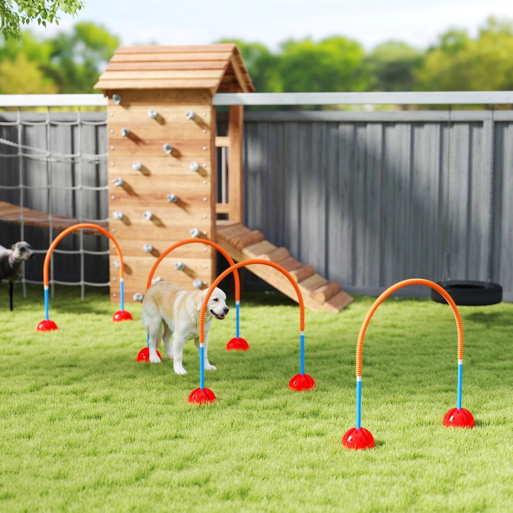 Set Agility per Cani 4 Pezzi con Porte Regolabili ¨C zephmum ¨C Blu