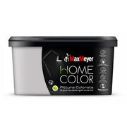 HOME COLOR SUPERLAVABILE  2,5L SILVER- MAX MEYER- 1,0 pz