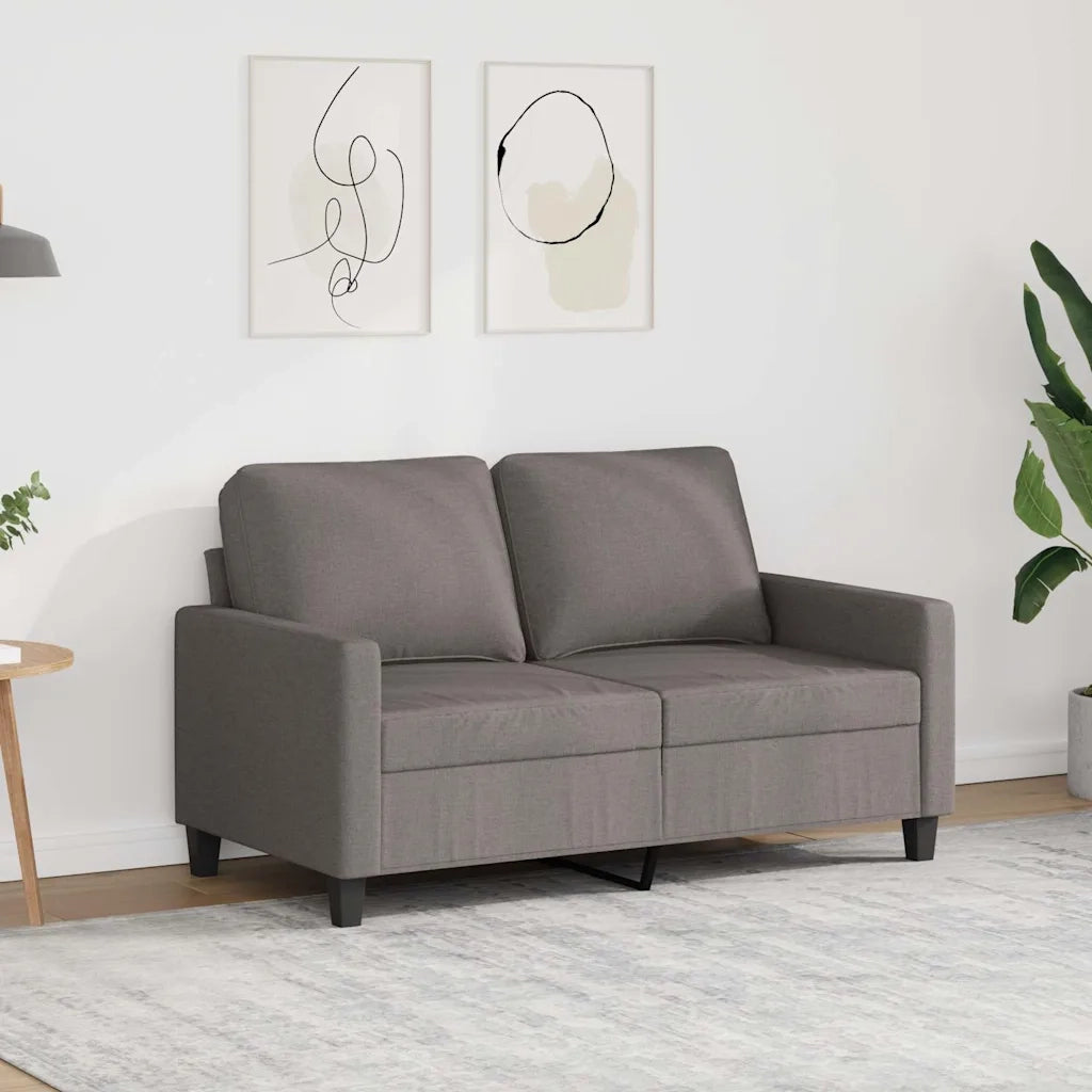 Divano a 2 Posti-Sofa 2 Posti Tortora 120 cm in Tessuto 191289