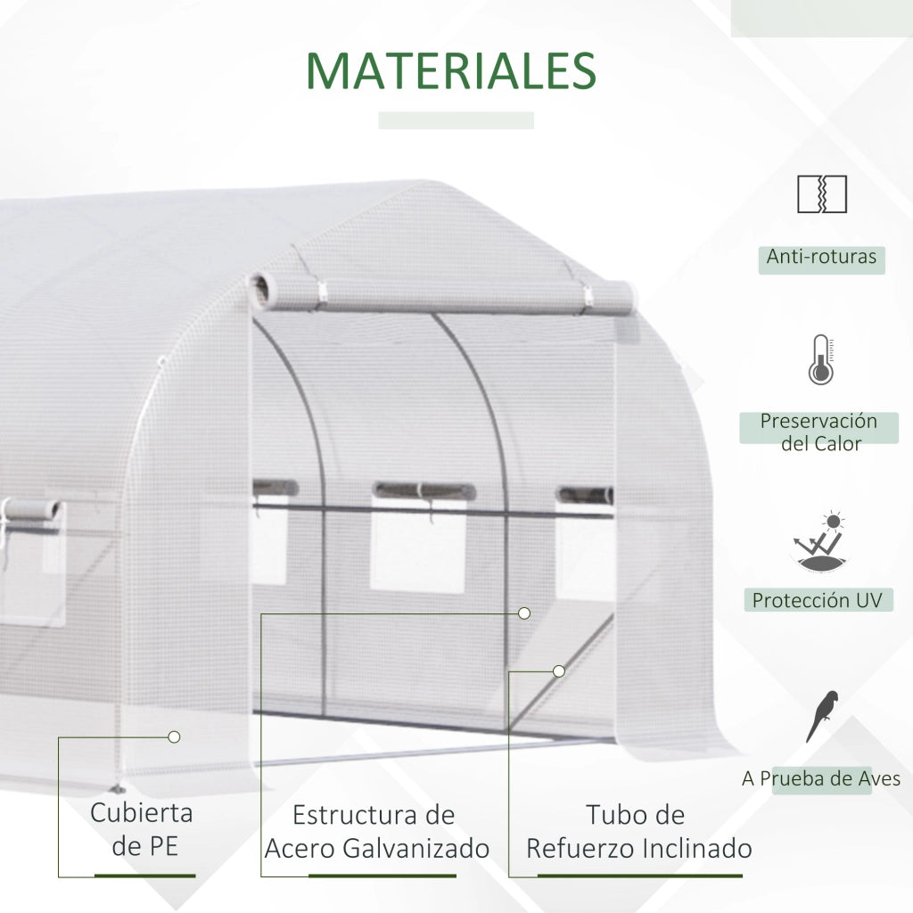 Serra Tunnel 4x2x2 m con 8 Finestre e Porta ¨C Minimal ¨C Verde