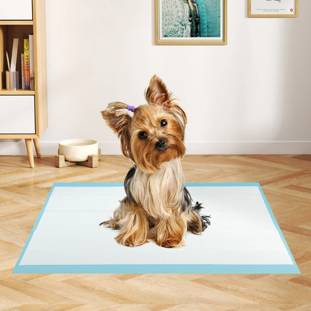 Tappetini per animali domestici a 6 strati a prova di perdite, Asciugatura rapida tappetini da interno ed esterno 60 x 43 cm Blu