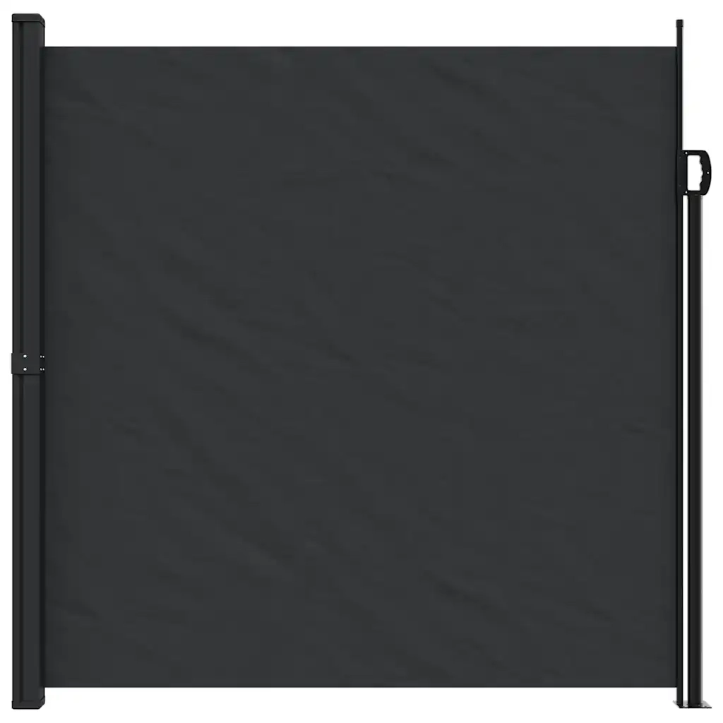 Tenda da Sole Laterale Retrattile Nera 200x300 cm 4004354
