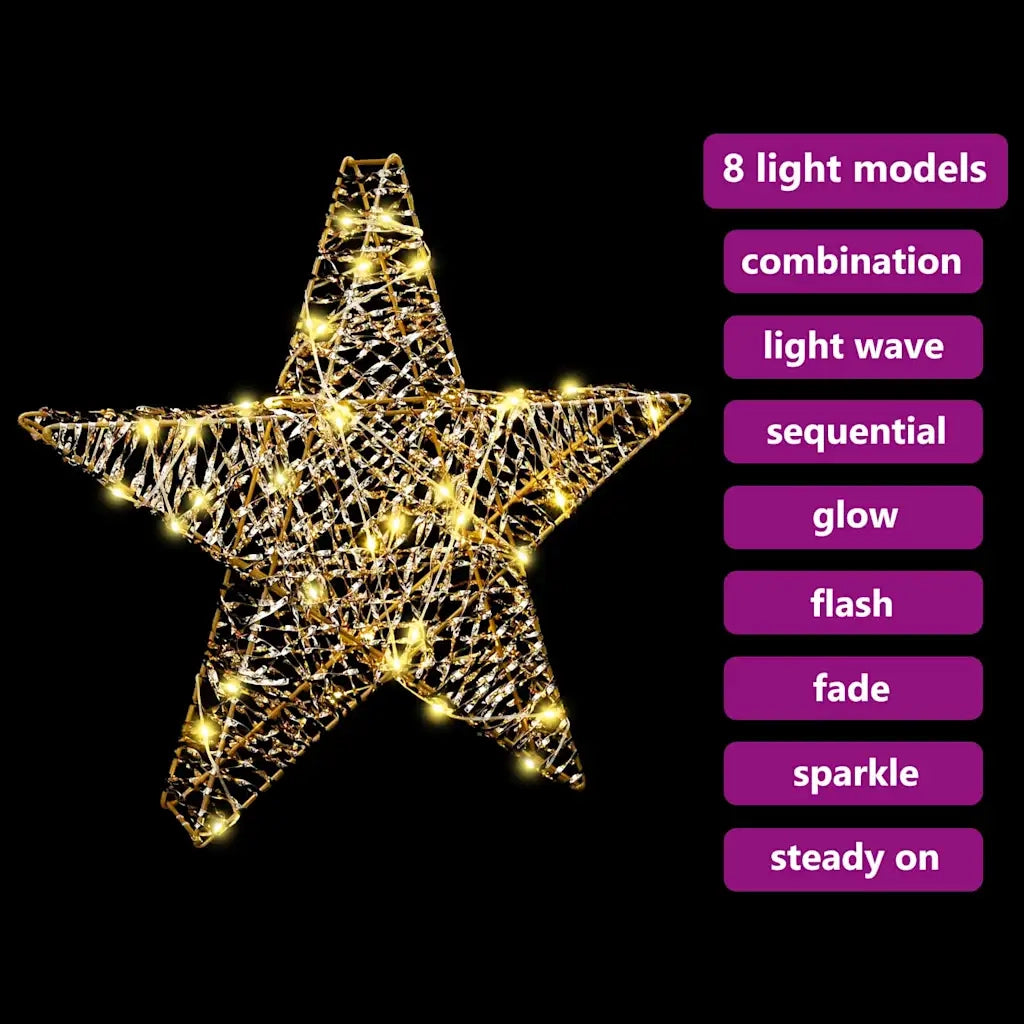 Stella 3D con 50 LED Bianco caldo 55 x 52.5 x 9 cm PET 42019103