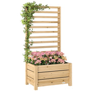 Hochbeet con graticcio in legno ¨C Minimal ¨C 60x39x120 cm