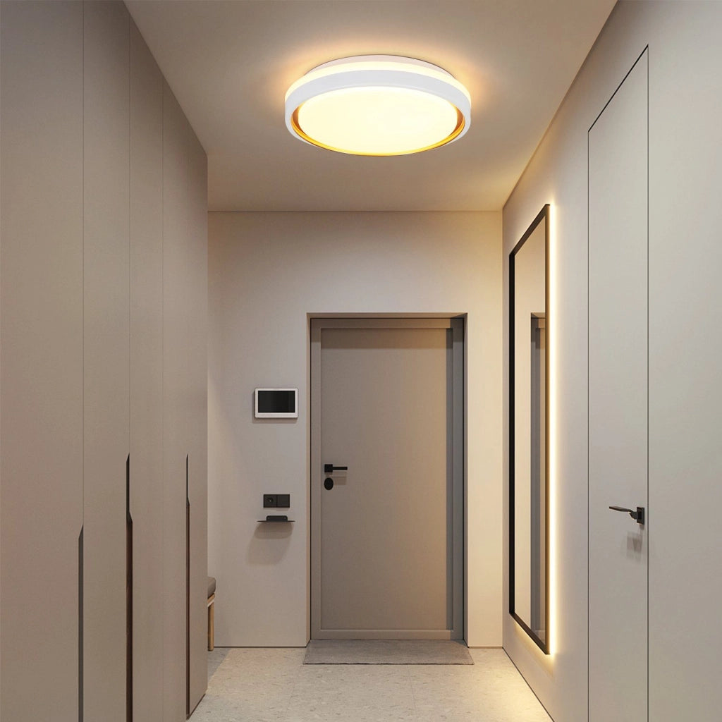 ZMH Lampada da soffitto plafoniera LED 30cm design moderno con telecomando