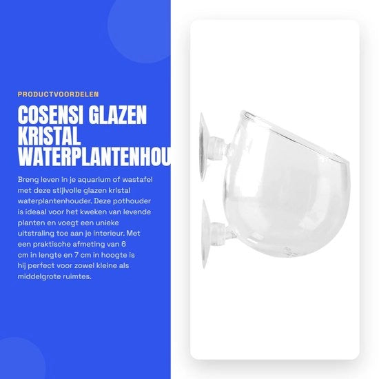 Contenitore per piante acquatiche in vetro - 2 chiusini - Accessori per acquario - Dimensioni ca. 6 cm/7 cm - Leggero - Contenitore per piante acquatiche