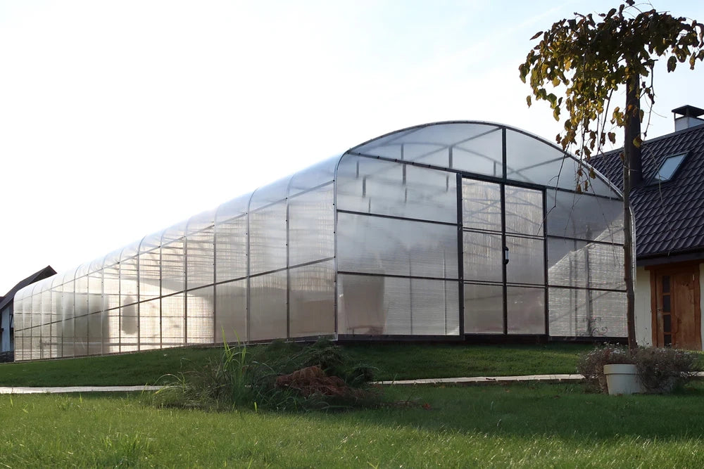 Serra da giardino HERCULES 5.5 x 8 m (44 m²), 10 mm con rivestimento in policarbonato