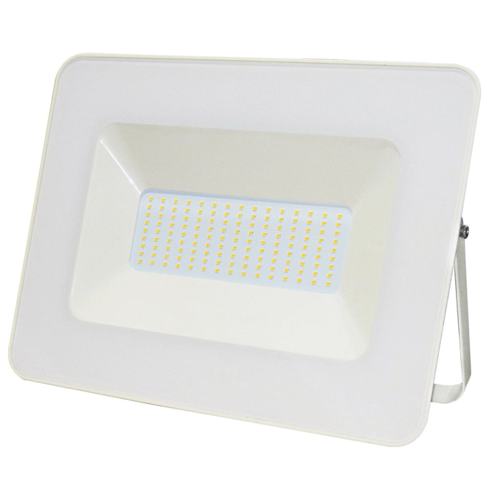 Proiettore LED Bianco 175-265VAC 100W 4000K