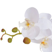 Orchidea Artificiale con Vaso-Piante Decorative 65 cm Bianca