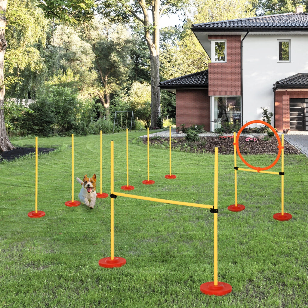Set Agility per Cani ¨C Xylo ¨C 3 Pezzi con Ostacoli Regolabili e Slalom