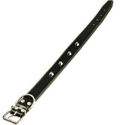 COLLARE PER CANI FODERATO CON BORCHIE 40x650 mm