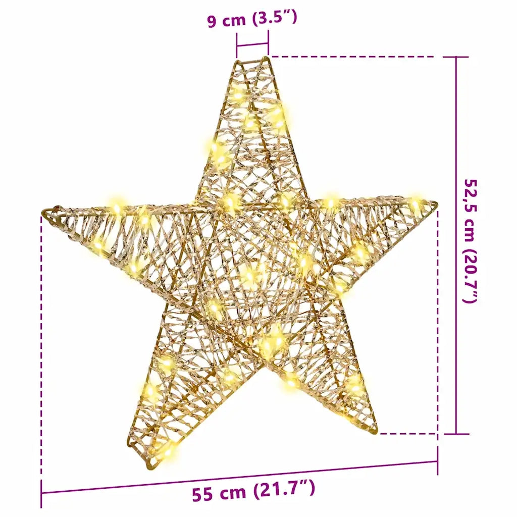 Stella 3D con 50 LED Bianco caldo 55 x 52.5 x 9 cm PET 42019103