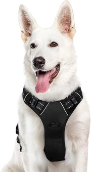 Cinturone per Cani Grandi con Strisce Riflettenti e Cintura Comoda