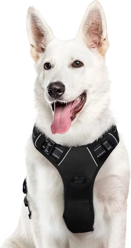 Cinturone per Cani Grandi con Strisce Riflettenti e Cintura Comoda