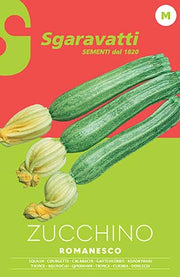 SEMI PER ORTAGGI E VEGETALI zucchino romanesco 20 pezzi  - SGARAVATTI
