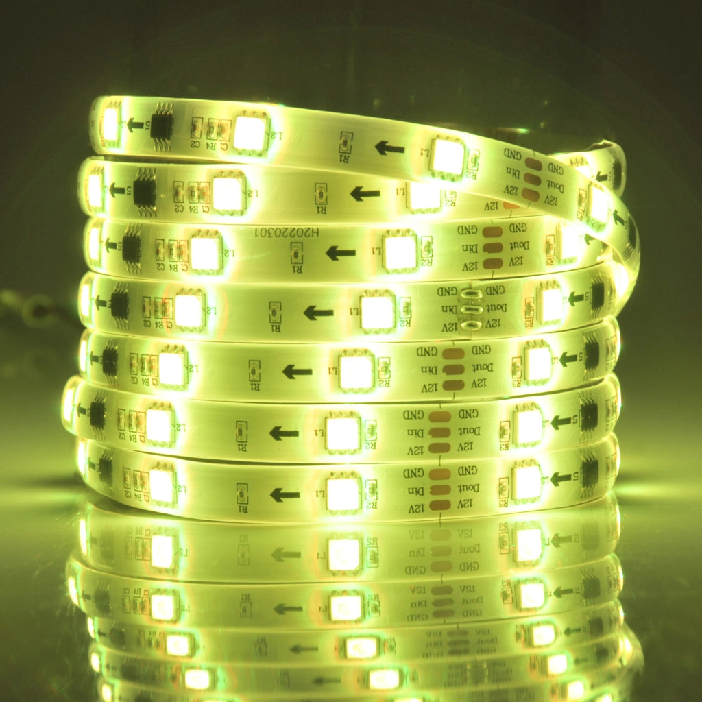 Kit striscia LED MAGIC RGB 5m 12V IP65 con telecomando