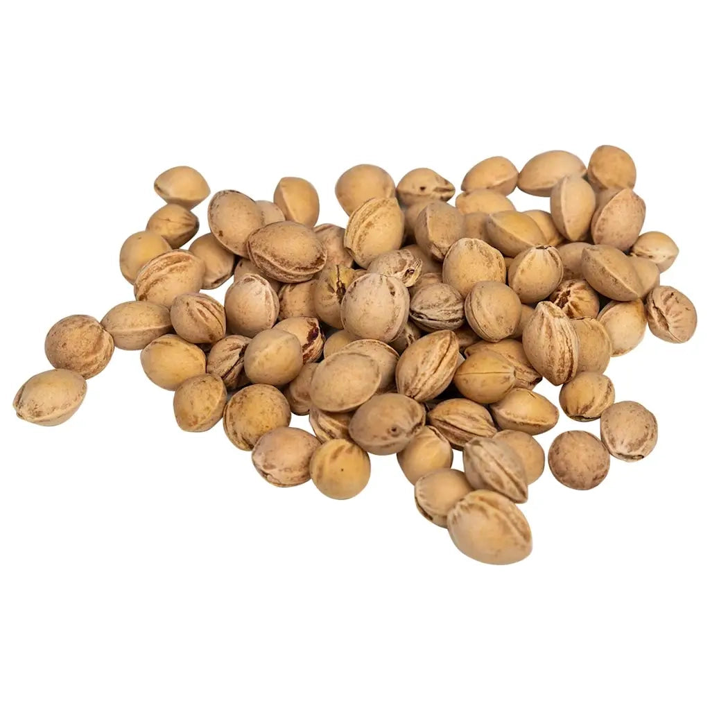 Noccioli di Ciliegia per Cuscino Termico 20 kg CFW2819031
