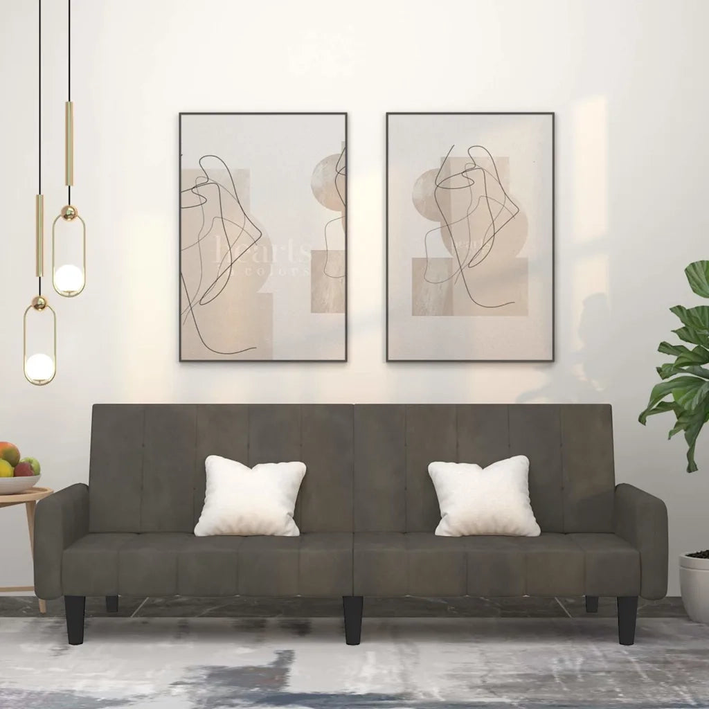 Divano Letto a 2 Posti-Sofa Letto 2 Posti-Daybed Grigio Scuro in Velluto 240585