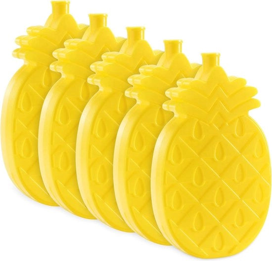 Mini elementi di raffreddamento per picnic e pranzo - Blocchi di raffreddamento riciclabili a forma di ananas