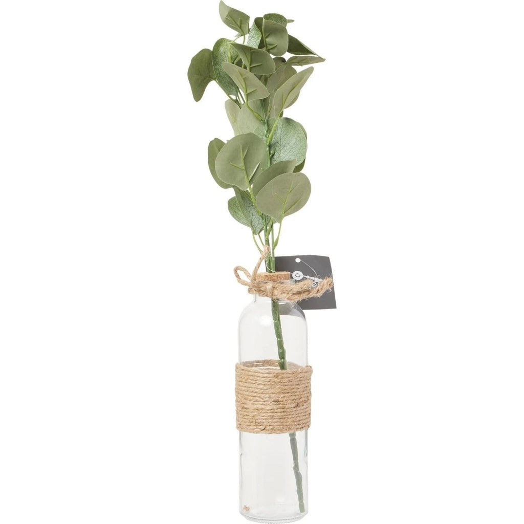 Vaso con eucalipto e corda da 45 cm