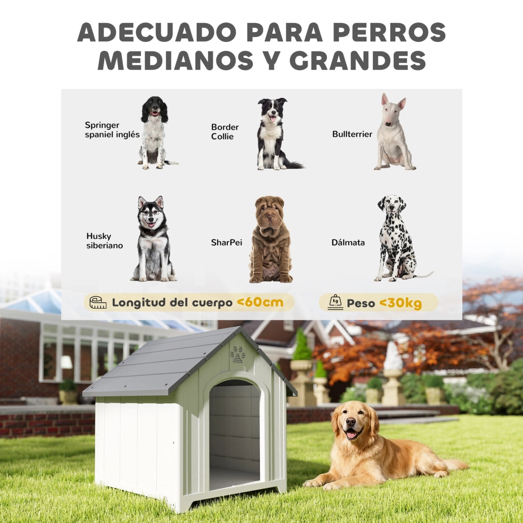 Casetta per Cani Esterna Grandi in Plastica con 2 Finestre e Base Sollevata ¨C Minimal ¨C Grigio