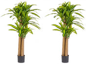 Set 2 Piante Artificiali Dracaena Ø110x150 cm in Plastica con Vasi Verde