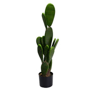 Pianta cactus con vaso tondo cmø14h84