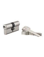 Cilindro europeo TRAFIC 6 30 x 30 mm, nichelato, anti-perforazione, anti-rottura, 5 chiavi piatte reversibili – THIRARD