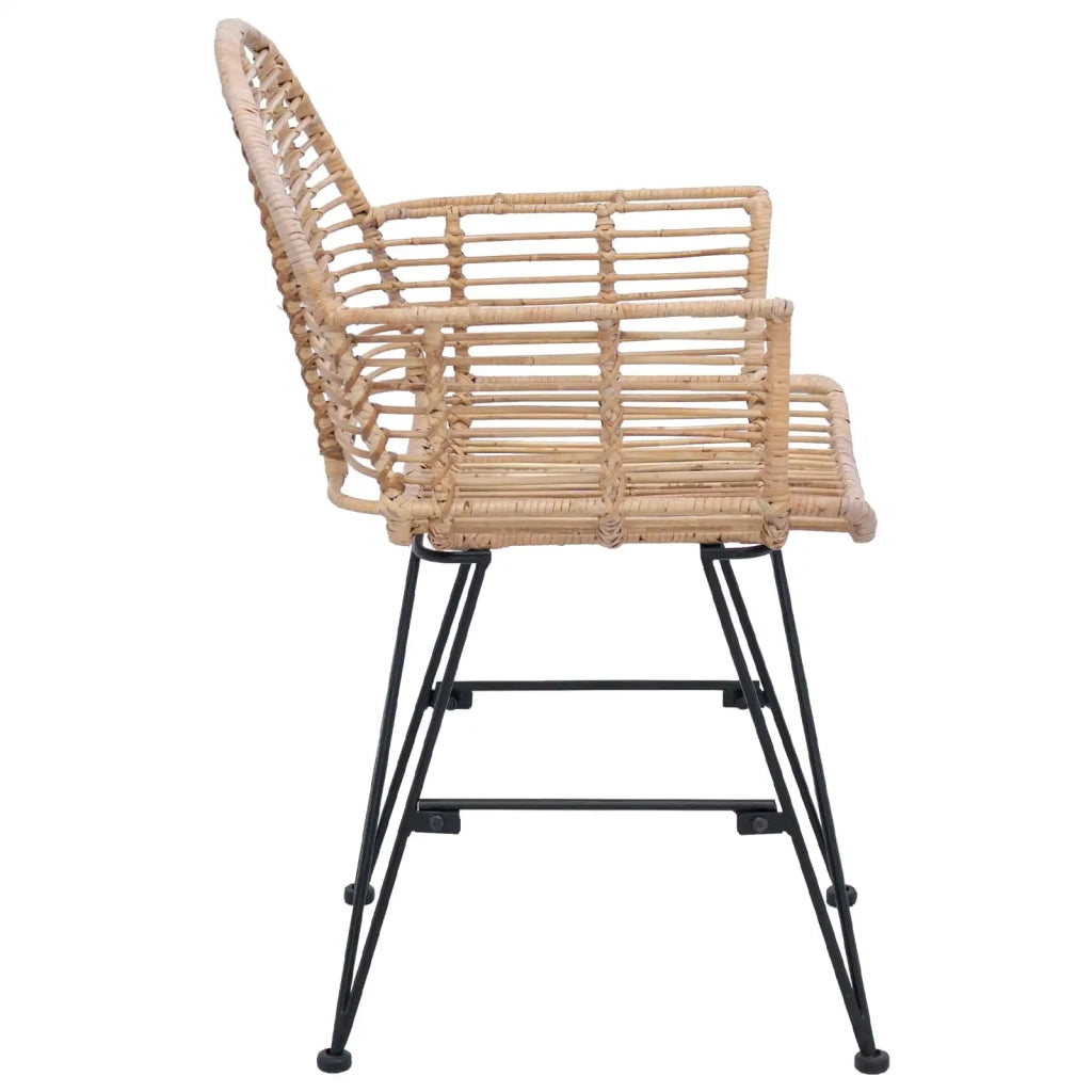 Sedia da pranzo 2 pcs Naturale 44 x 44 x 74 cm Rattan e Ferro