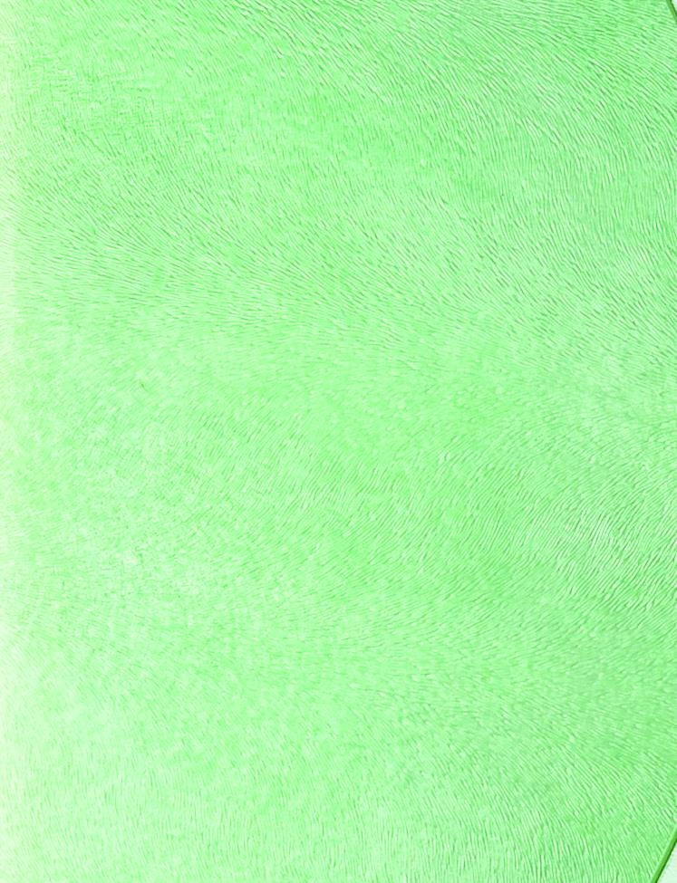 SOSPENSIONE JUIS PICCOLA VERDE DIAMETRO 30CM 3000K 1620LM 20W