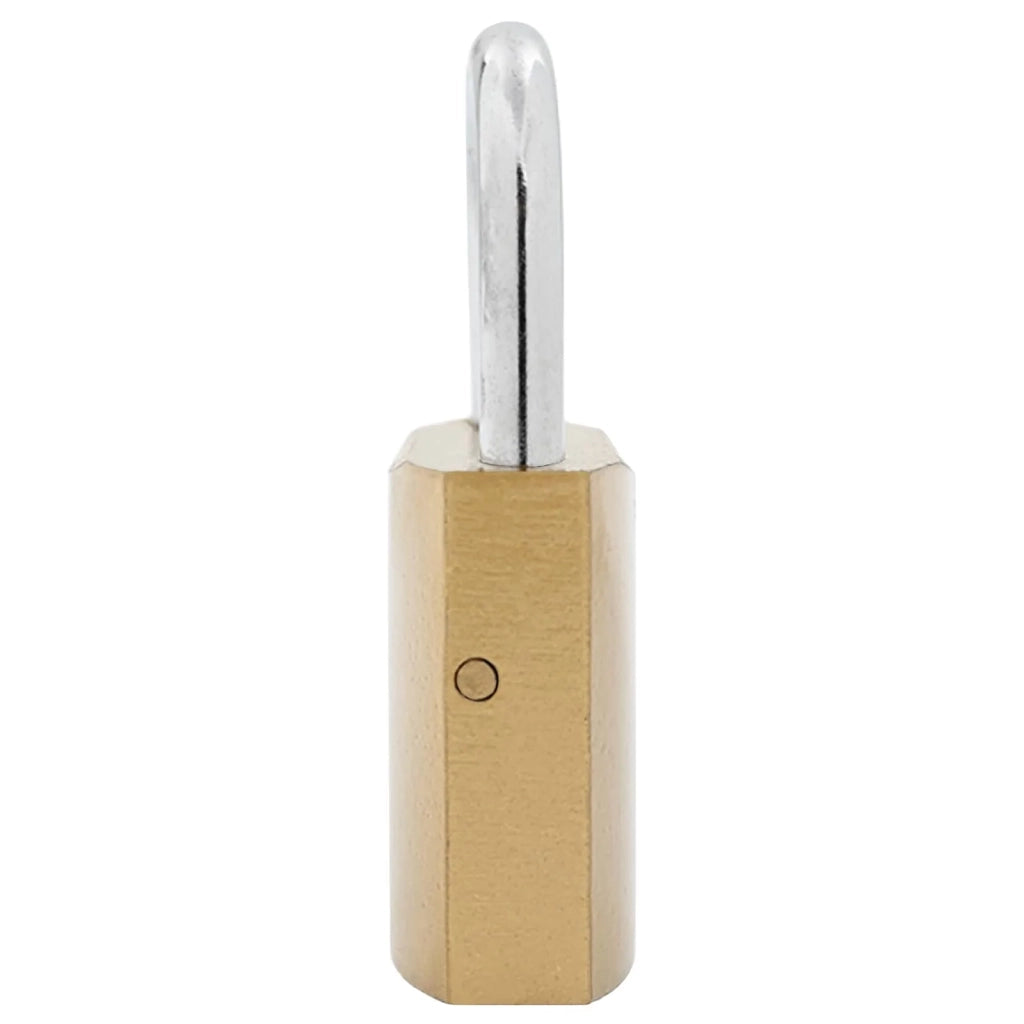U Lock con Chiavi 6 pcs Ottone Ferro 42021899