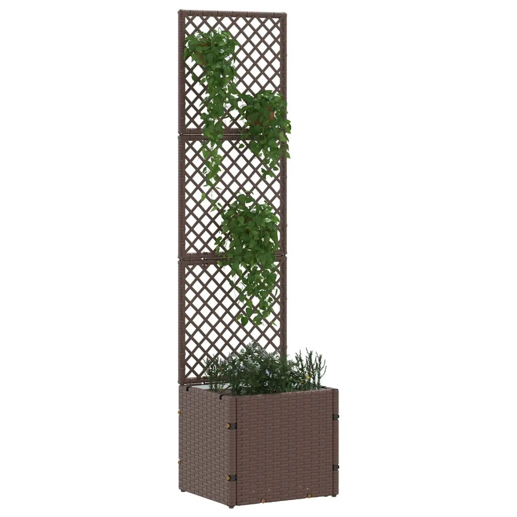 Fioriera a traliccio da giardino Marrone 35 x 30 x 135 cm 366618