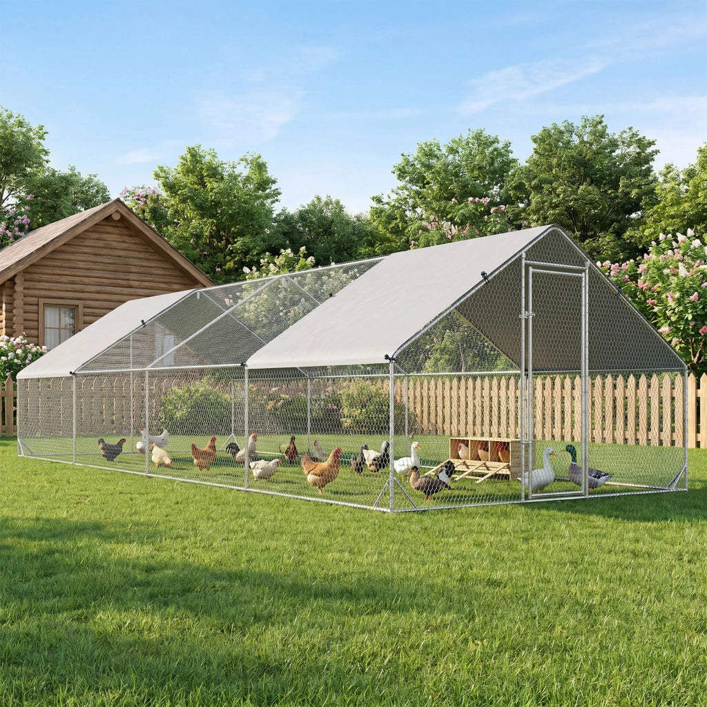 Pollaio da Giardino ¨C Minimal ¨C Argento, Zincato, 3x8x2m