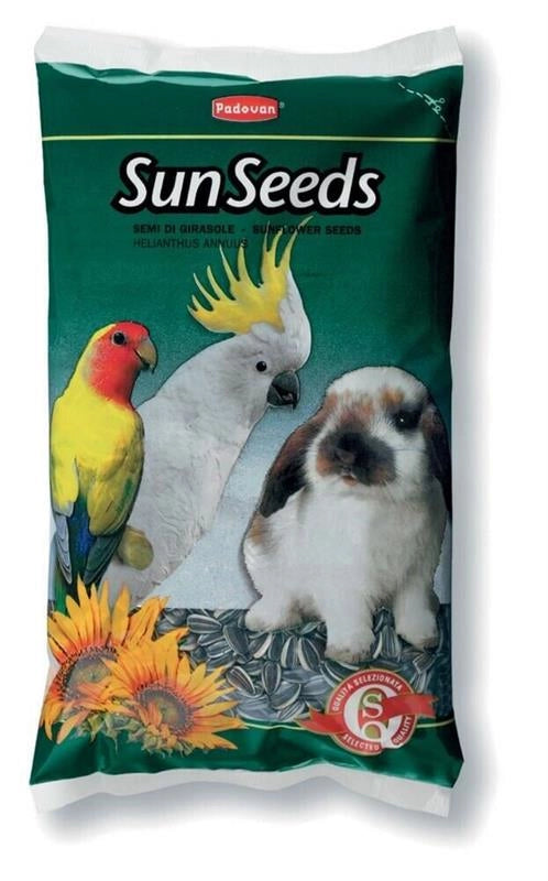 PADOVAN SUN SEEDS SEMI DI GIRASOLE PER VOLATILI E RODITORI 500 GR