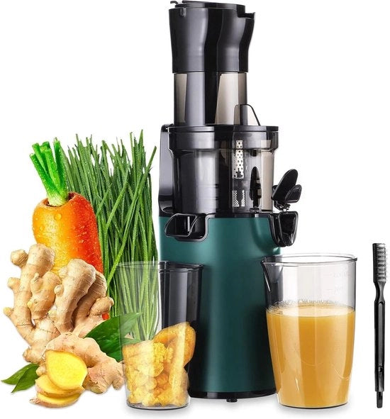 Macchina per Tritare Frutta - Centrifuga per Succo - Tritacarne Lento - Frutta Persa -