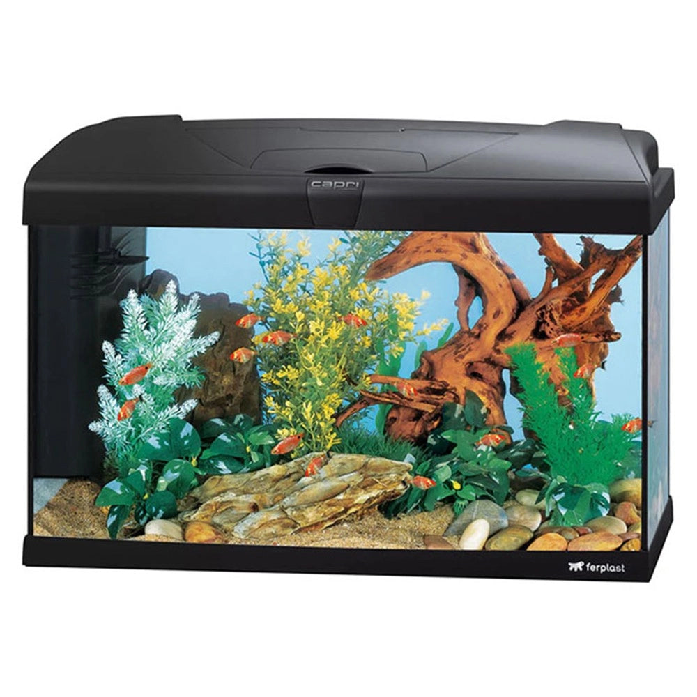 Ferplast Capri 60 LED - Acquario accessoriato cm60x31,5x39,5h senza supporto Colore: Nero