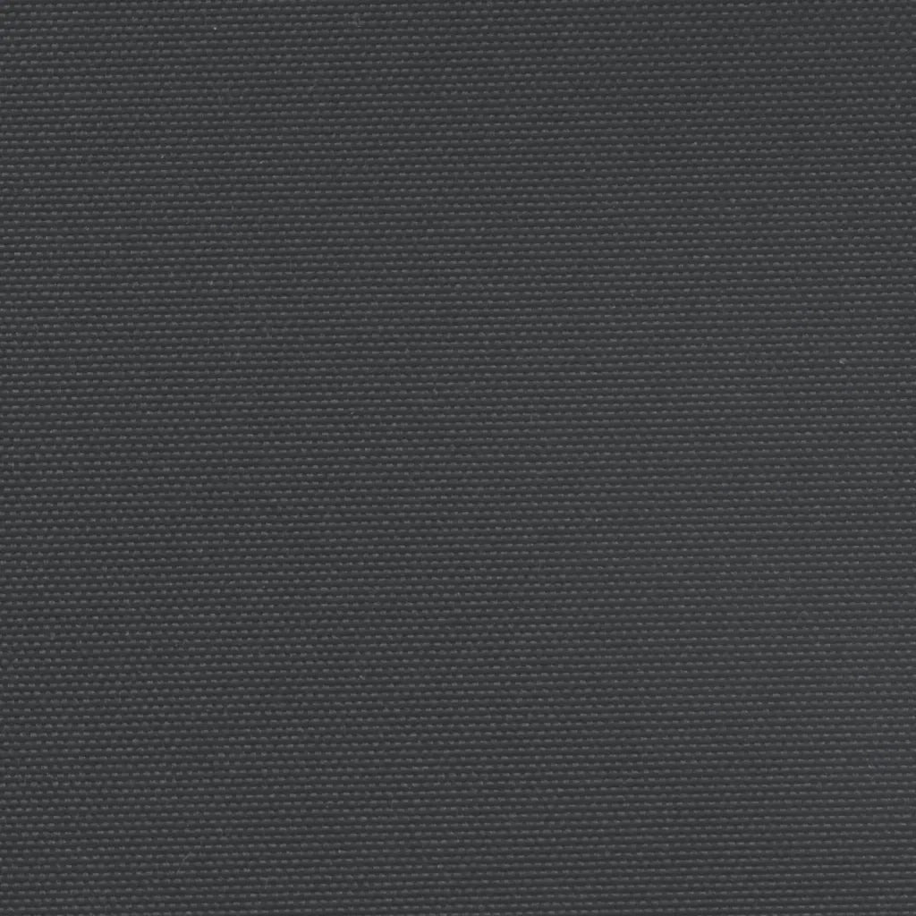 Tenda da Sole Laterale Retrattile Nera 220x1200 cm 4004864