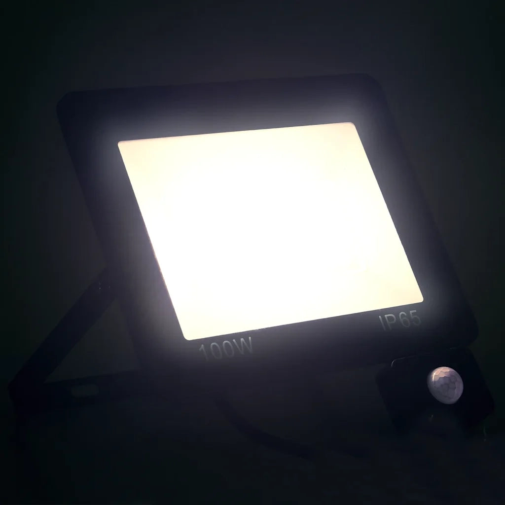 Faretto a LED con Sensore 100 W Bianco Freddo 149632