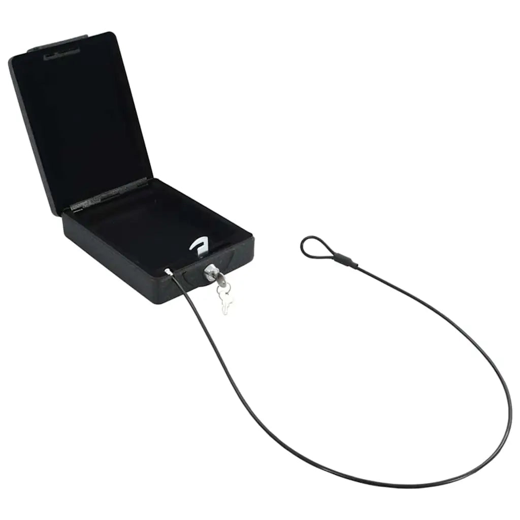 Cassaforte per Auto con blocco Nero 22 x 16 x 7 cm Acciaio 42011320