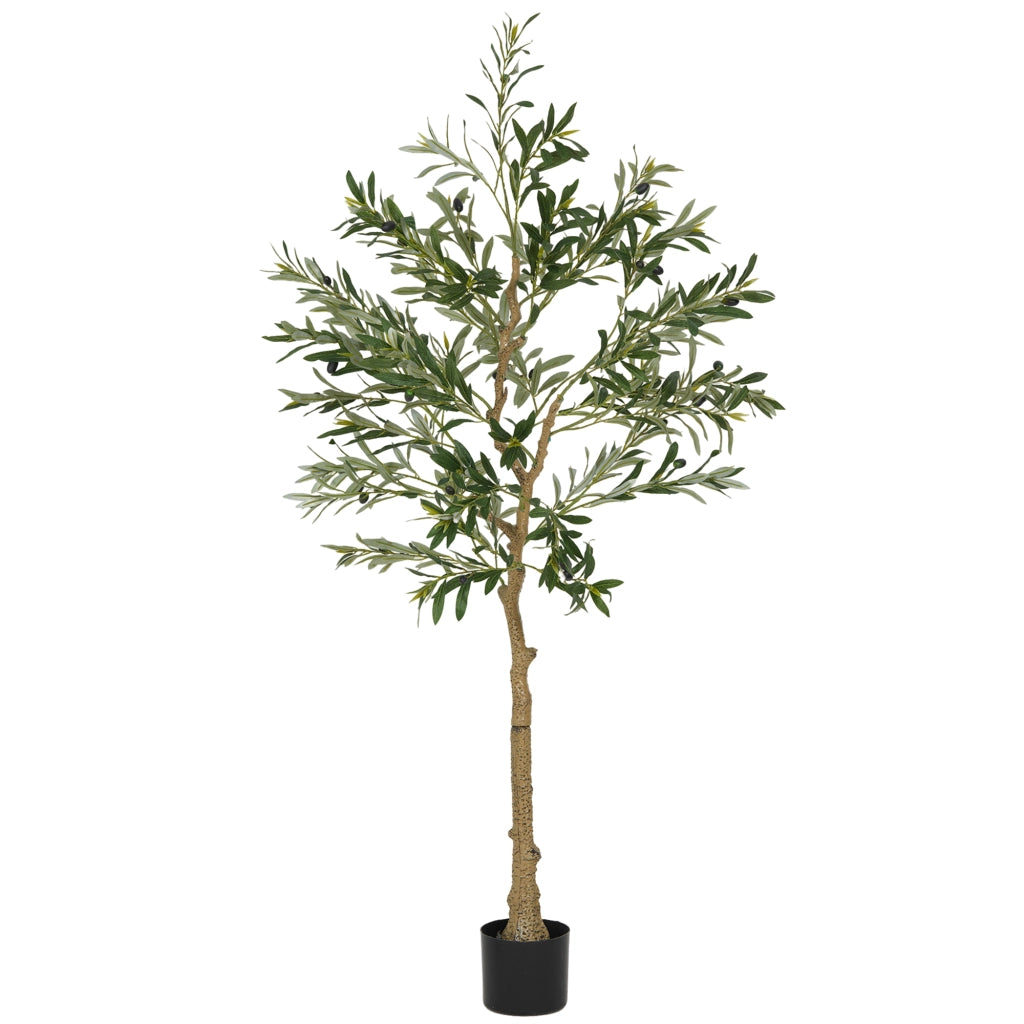 Albero di Ulivo Artificiale ¨C Zephmum ¨C Verde 150 cm