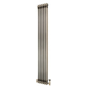 Radiatore 2 Colonne Verticale Metallo Grezzo 1800 x 290 mm TRV