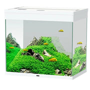 Ciano Emotions Nature Pro 60 LED Senza Supporto Colore: Bianco