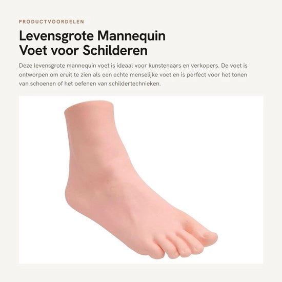 Manichino Piede a grandezza naturale - Piede in PVC - Modello femminile - 22,5 cm - Supporto per scarpe - Ideale per dipinti/dispositivi per gioielli - Piede modello
