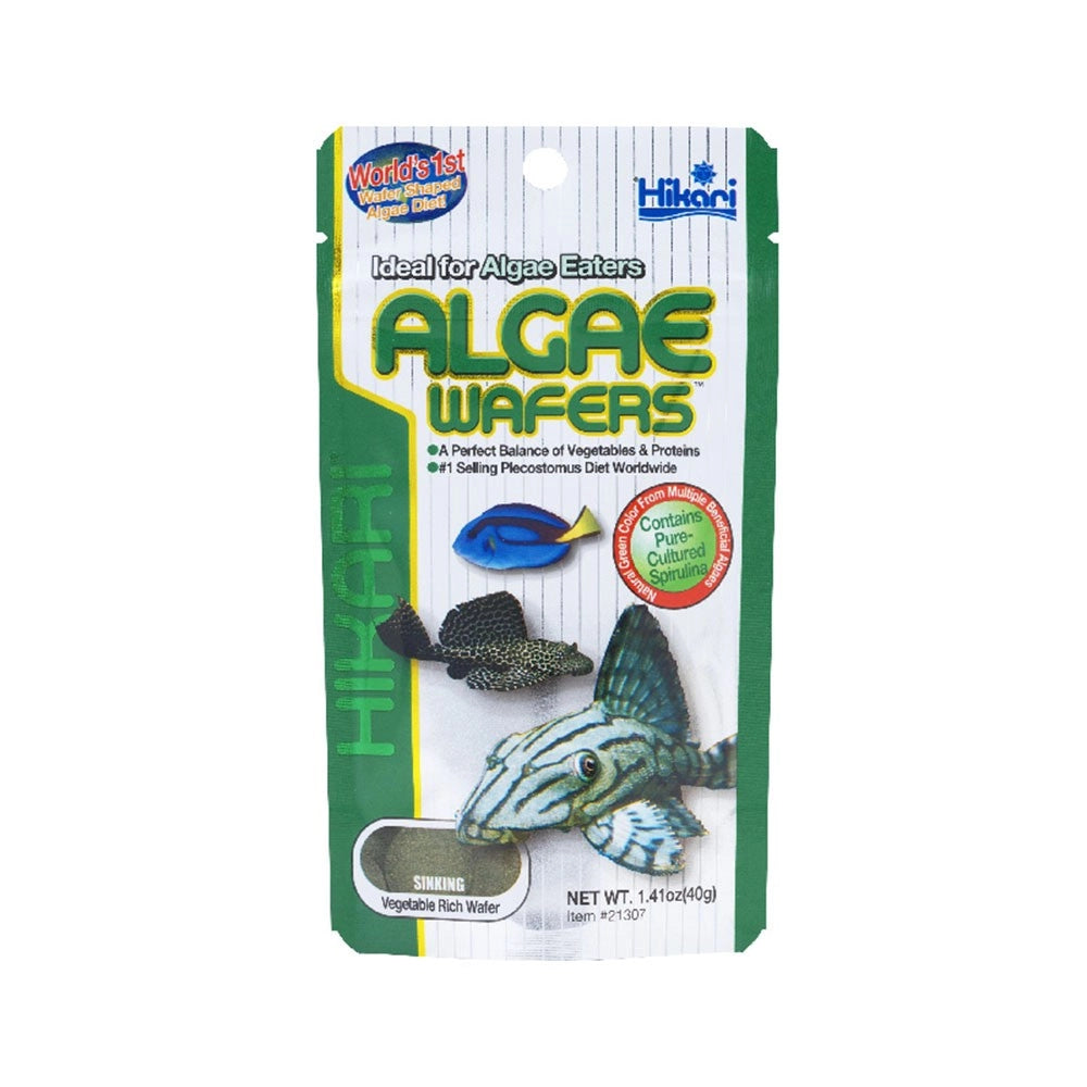 Hikari Tropical Algae Wafers – mangime per Plecostomus e altri mangiatori di alghe Formato: 40 gr
