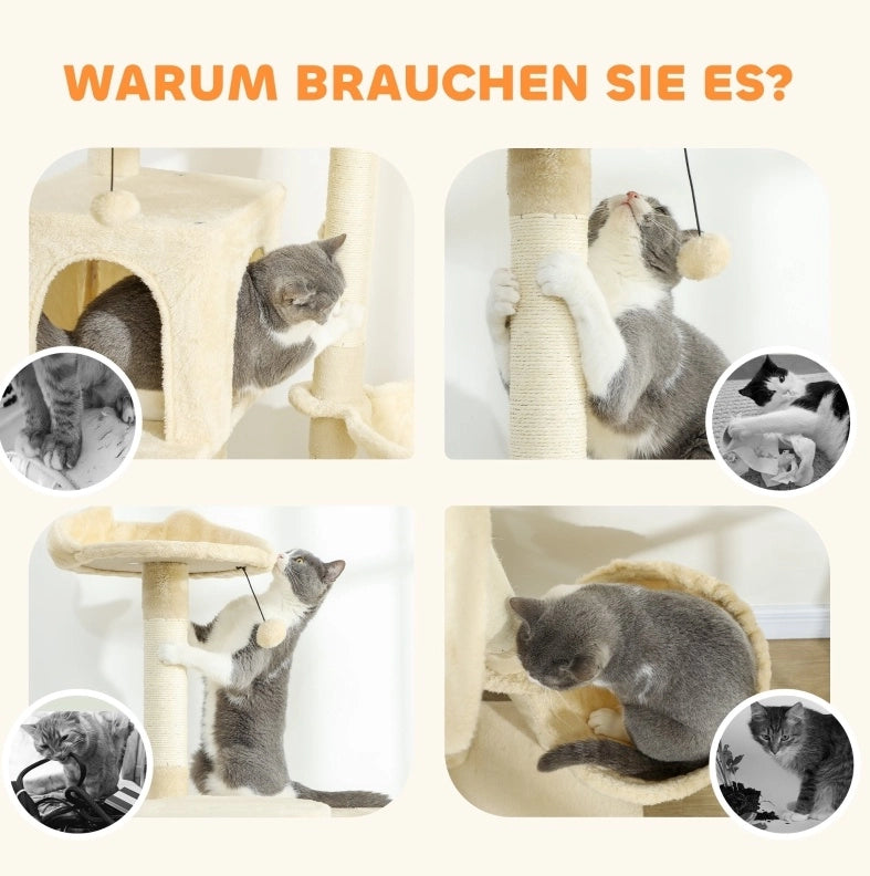 Tiragraffi per gatti beige con amaca, scala e cuccia