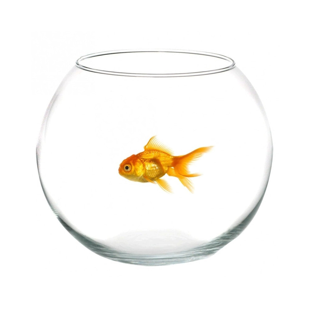 Trade Shop - Ampolla Boccia Per Pesci In Vetro 35 Cm Acquario Pesce Rosso Centrotavola -