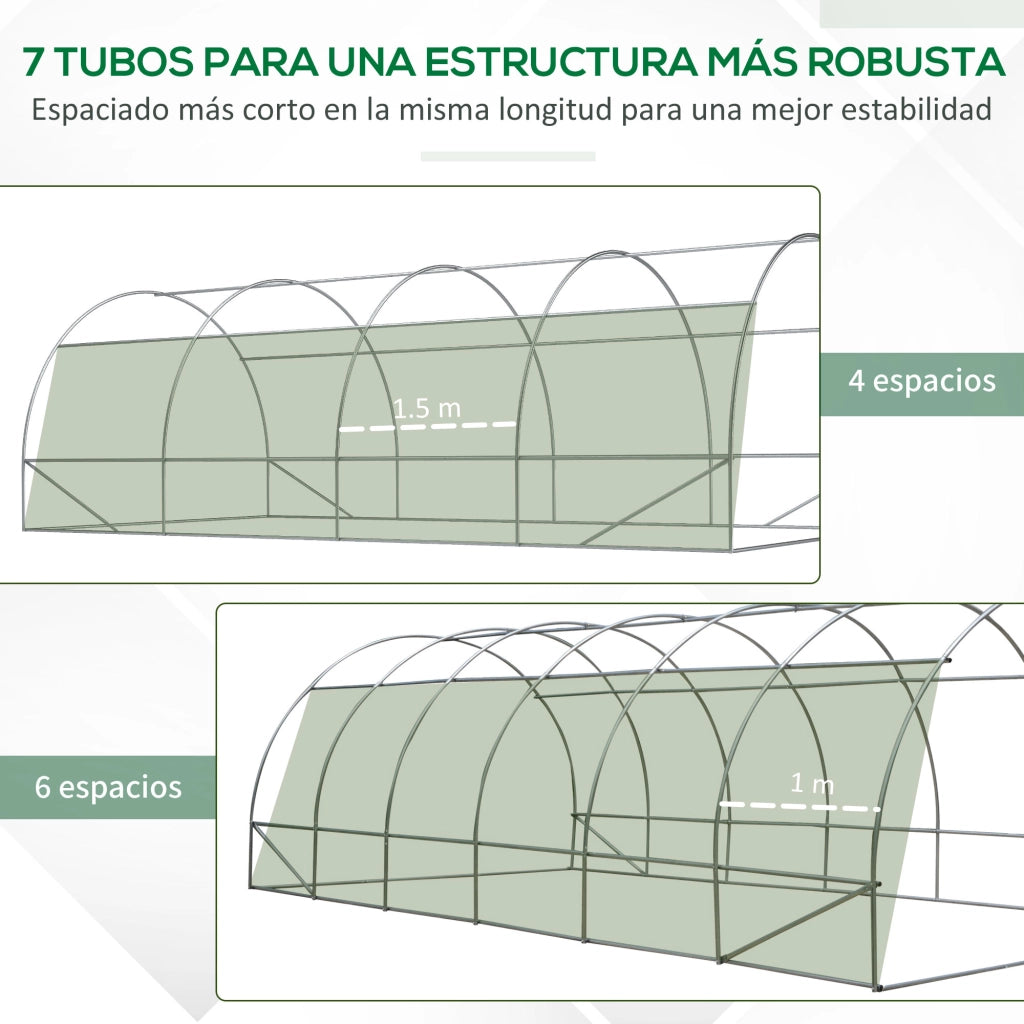 Serra Tunnel con 12 Finestre Porta ¨C Minimal ¨C Verde