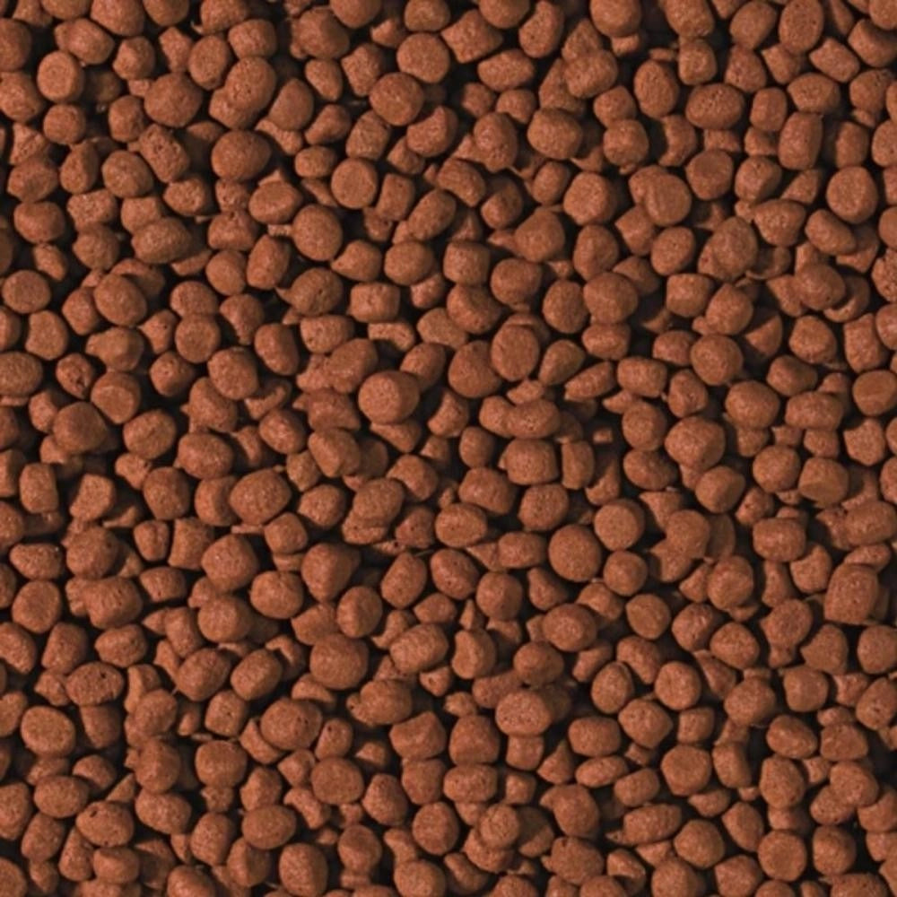 Tropical Cichlid Carnivore Medium Pellet Formato: 1000 ml